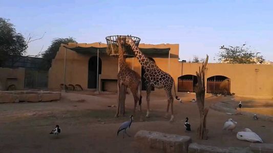 Al Malaz Zoo